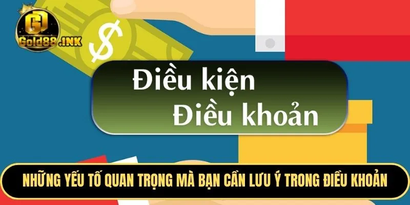 Những yếu tố đặc biệt quan trọng mà bạn cần lưu ý trong điều khoản