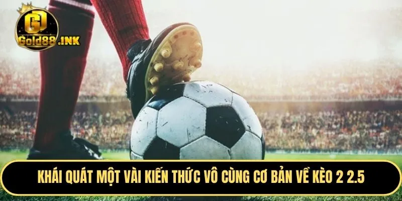 Khái quát một vài kiến thức vô cùng cơ bản về kèo 2 2.5