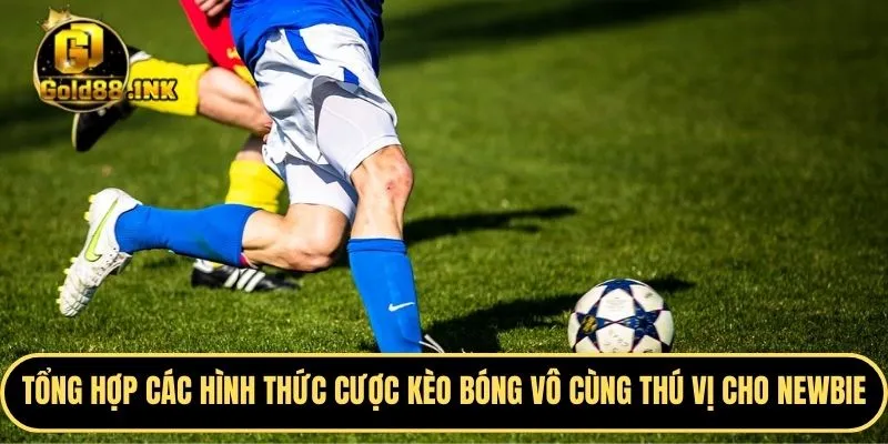Tổng hợp các hình thức cược kèo bóng vô cùng thú vị cho newbie