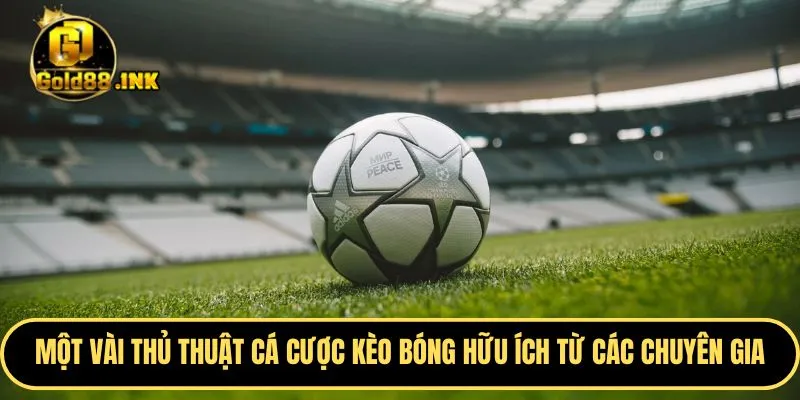 Một vài thủ thuật cá cược kèo bóng hữu ích từ các chuyên gia