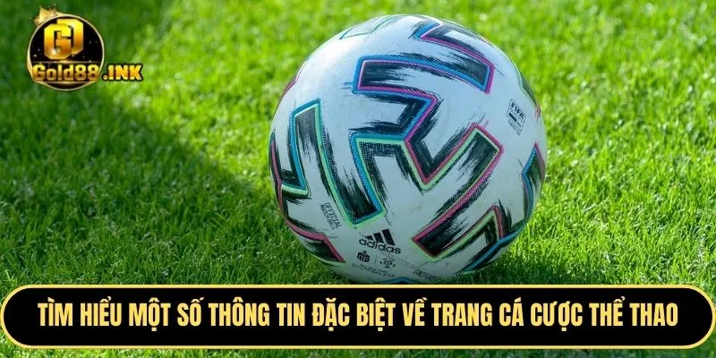 Tìm hiểu chi tiết một số thông tin đặc biệt về trang cá cược thể thao